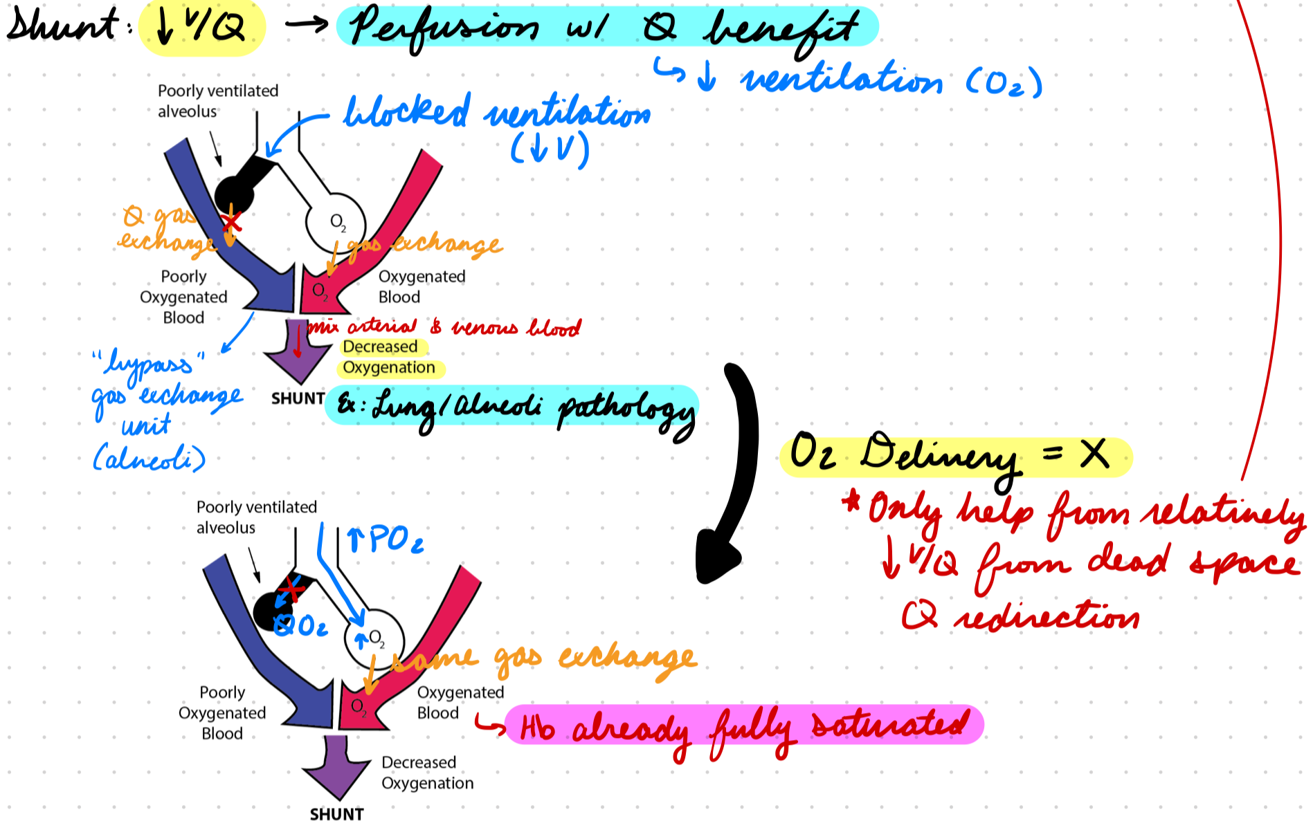 <p>Blood flow diversion prevent ventilation to perfused alveoli</p><ul><li><p>Perfusion with no benefit</p></li></ul><p>Low V/Q</p><p>Give O2 = Small saturation increase (shunted blood not exposed to increased O2)</p>
