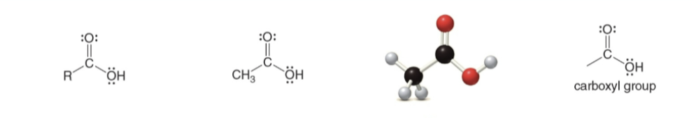 <p>Type of Compound → General Structure → Example → 3-D Structure → Functional Group</p>