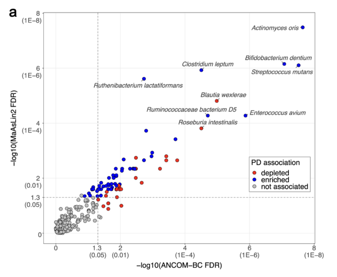 <p>Pesticides - inhibit HDAC activity </p><p>Gut bacteria - promote a-synuclein aggregation, high levels of gut bacteria associated with PD pathology found in PD patients (figure)</p><p>Immune system - immune cells express high LRRK2, PD onset is linked with IBD and influenza</p>