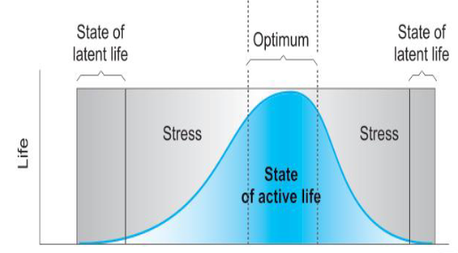 <p>Minimal life processes occur when stress factors are too high/low</p><ul><li><p>‘coma’ not doing much but not dead</p></li></ul><p></p>