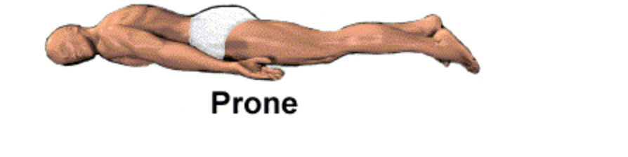 <p>Prone</p>