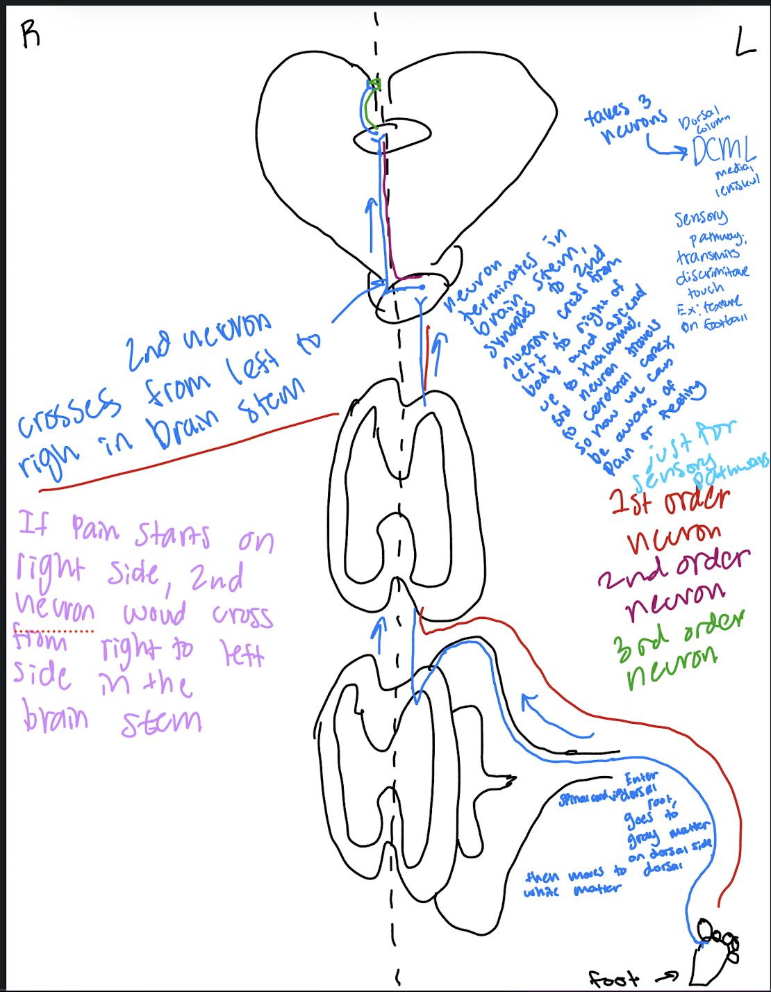knowt flashcard image