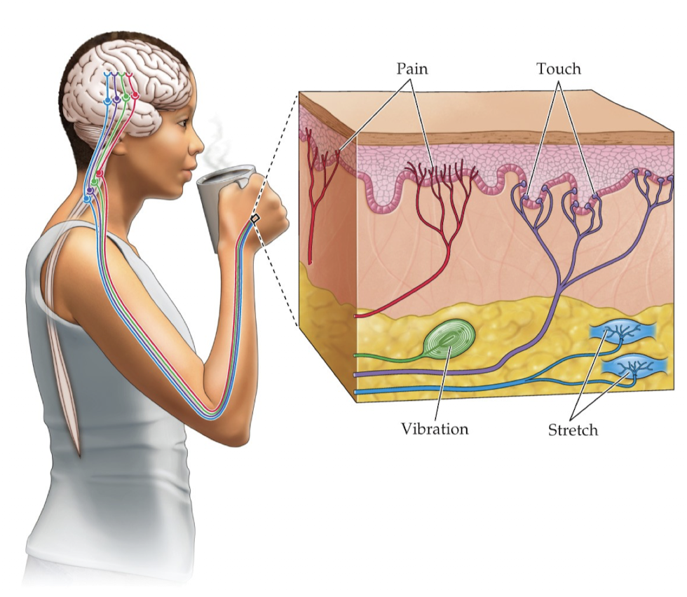 <p>What can u see here?</p>