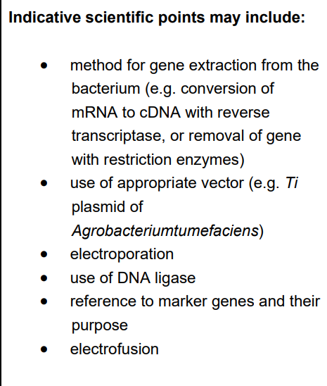 <ul><li><p><strong>Isolation of the Bt Gene:</strong></p><ul><li><p>Identify the specific gene for moth larvae resistance in <em>Bacillus thuringiensis</em>.</p></li><li><p><span style="line-height: 1.15;">Use <strong>restriction endonucleases</strong> to cut the gene from the bacterial DNA</span><span>.</span></p><p></p></li><li><p><span style="line-height: 1.15;">These enzymes leave "sticky ends" (short sections of single-stranded DNA)</span><span>.</span></p><p></p></li></ul></li><li><p><strong>Creation of Recombinant DNA:</strong></p><ul><li><p><span style="line-height: 1.15;">Cut a <strong>plasmid</strong> (vector) using the <em>same</em> restriction enzyme so the sticky ends are complementary</span><span>.</span></p><p></p></li><li><p><span style="line-height: 1.15;">Mix the Bt gene and the opened plasmid together</span><span>.</span></p><p></p></li><li><p><span style="line-height: 1.15;">Use <strong>DNA ligase</strong> to join the sugar-phosphate backbones, forming <strong>recombinant DNA</strong></span><span>.</span></p><p></p></li></ul></li><li><p><strong>Transformation and Plant Growth:</strong></p><ul><li><p><span style="line-height: 1.15;">Insert the recombinant plasmid into the plant cells (transformation)</span><span>. </span><span style="line-height: 1.15;">This can be done via <strong>electroporation</strong> or using a secondary bacterial vector like <em>Agrobacterium tumefaciens</em></span><span>.</span></p><p></p></li><li><p><span style="line-height: 1.15;">Use <strong>tissue culture</strong> (micropropagation) to grow the transformed cells into adult, pest-resistant aubergine plants</span><span>.</span></p></li></ul></li></ul><p></p>