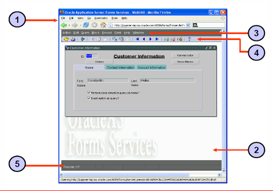 <p>2 - The actual thin client contained within the browser window that runs the user interface.</p>