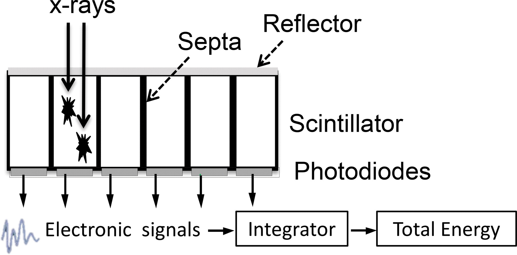 <p>walls between scintillation detectors to block light/signal spread into adjacent detectors, taking up precious surface area and thus creating dose inefficiencies </p>