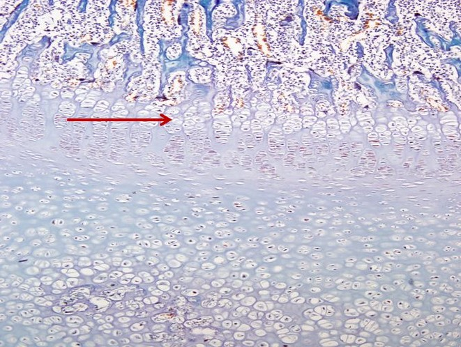 <p>Cấu trúc gì ?</p>