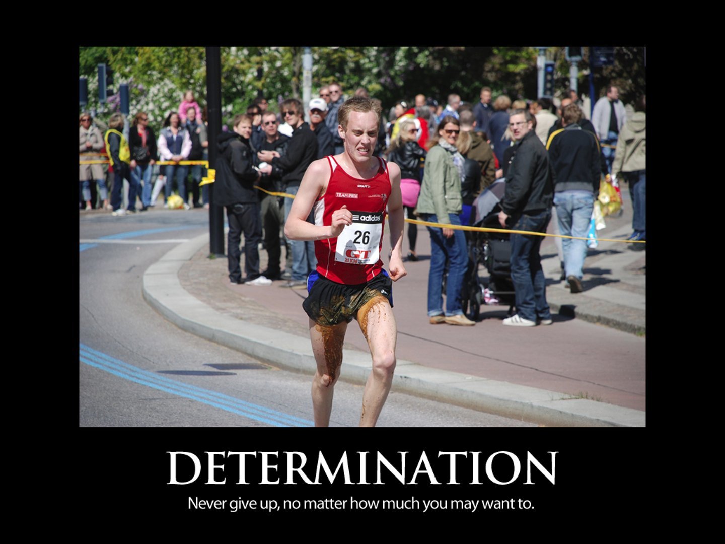 <p>determine</p>