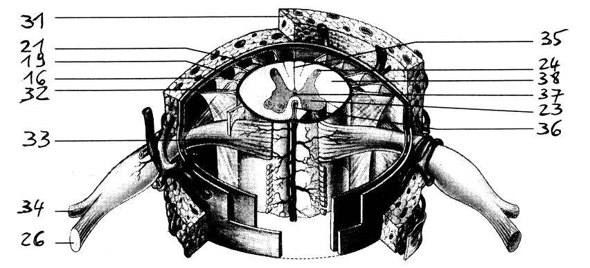 37