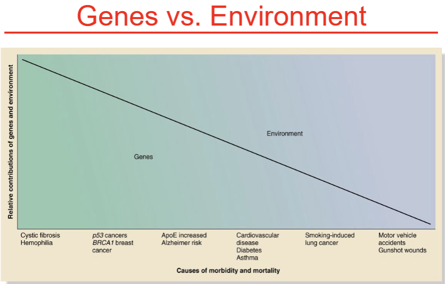 <p>NO (genes vs environment)</p>