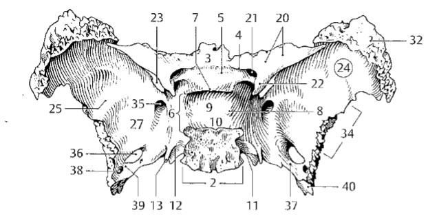 <p>4</p>