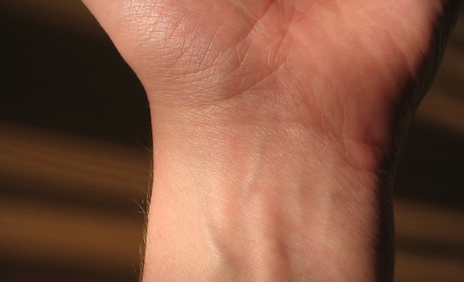<p>The joint connecting the hand to the forearm.</p>
