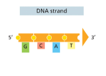 <p>Directionality?</p>