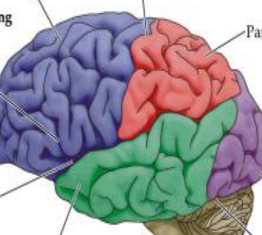 <p>What is the area in Red? </p>