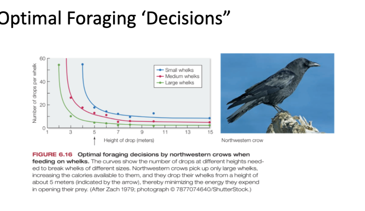 <p>make sense of this </p>