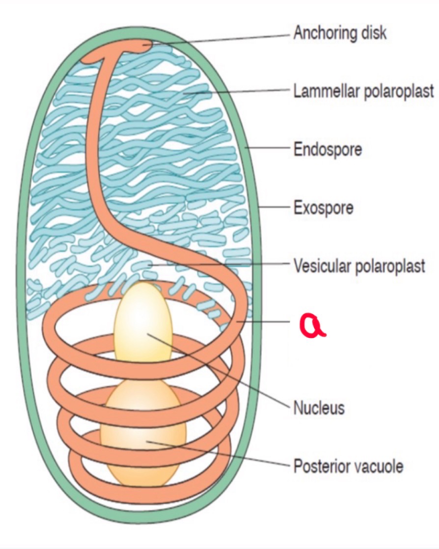 <p>What is this?</p>