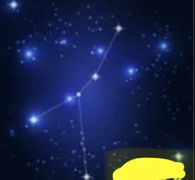 <p>whats this </p>