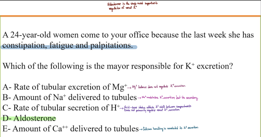 <p>D - Aldosterone</p>