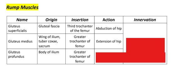 <p>Q: The action of the Gluteus profundus is the …… of hip. </p><p>A. Abduction </p><p>B. Flexion </p><p>C. Extension </p><p>D. Adduction</p>