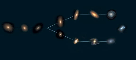 <p>left ellipticals, fork S0, top spiral, bottom barred spirals, right irregulars</p>