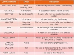 <p>C & C++</p>