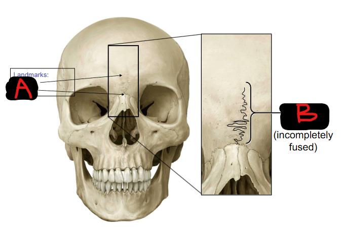 <p>Define B </p>