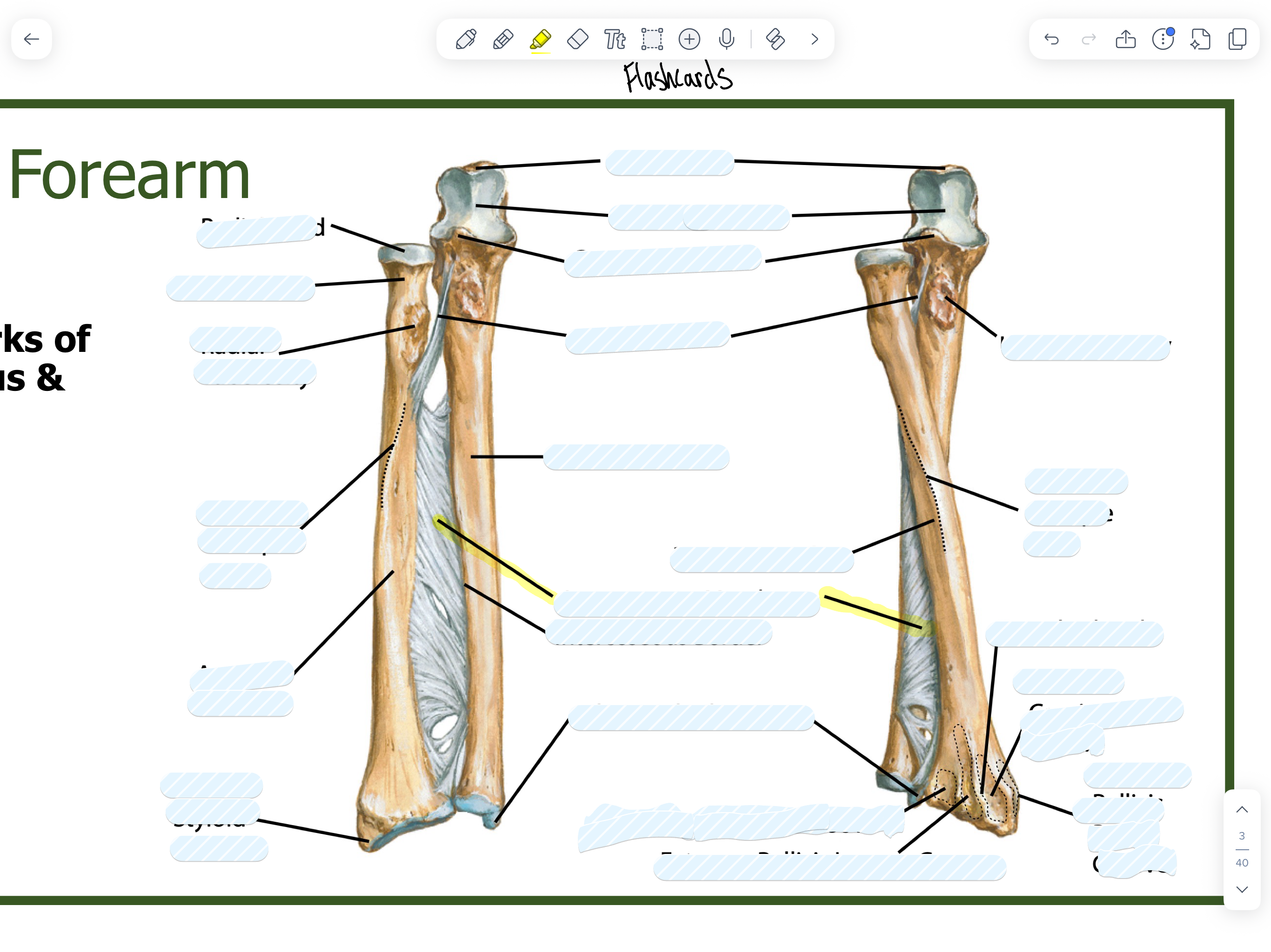 knowt flashcard image
