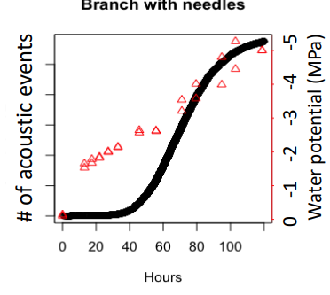 <p>Cavitation curves: water potential &amp; acoustic events?</p>