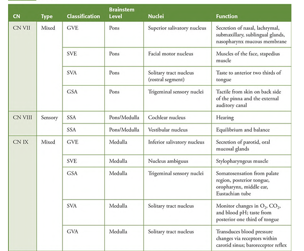 <p>sve gve sva gva gsa</p><p></p><p>not assessment becus its too internal</p>