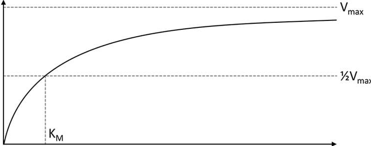 <p>rate increases with [][][] until it reaches a maximum when all enzyme active sites are saturated</p>