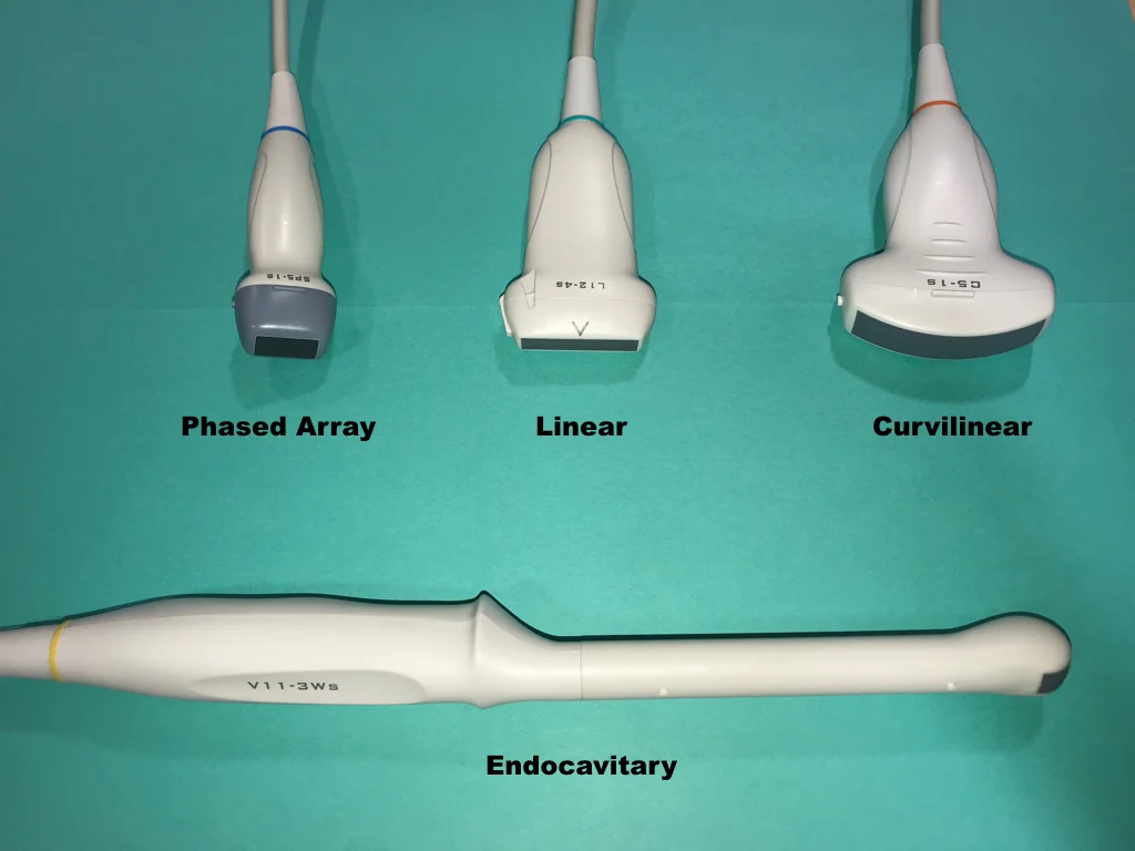 <p>Transducer</p>