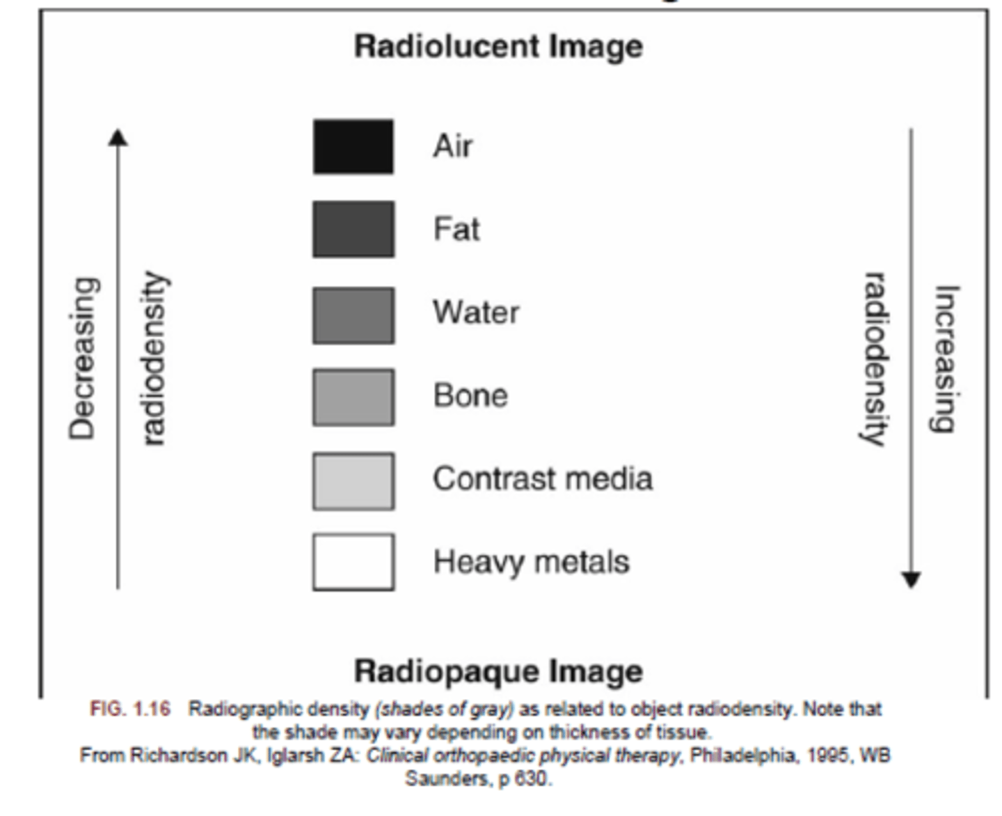 <p>- The more radiation a structure absorbs, the lighter the structure would appear on the film.</p><p>- Attenuation: the absorption of the rays by objects (increased density = absorb more rays = lighter color)</p>