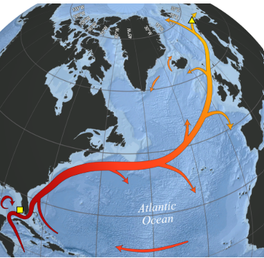 <ul><li><p>A river in the ocean</p></li><li><p>Part of the Thermohaline Circulation </p></li><li><p>West to East (Florida to UK)</p></li><li><p>Carries warm water Northward from the Gulf of Mexico</p></li><li><p>Transports a large amount of heat, strongly influencing the climate in the North Atlantic</p></li><li><p>Carries surface water, movement of currents (Not wind, ENSO)</p></li></ul><p></p>