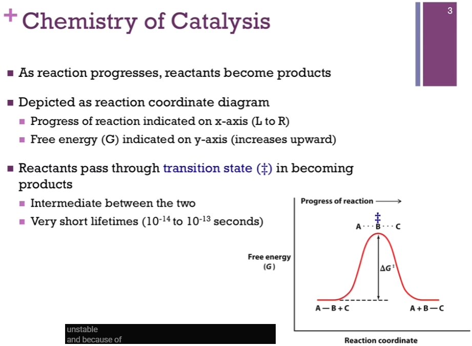 <p>X-axis => reaction coordinate.</p><p>Y-axis => free energy (G).</p><p>Halfway point (in reaction coordinate between reactants and products) represents our intermediate => this is our transition state AND that would be the TOP of our energy hill, DEPICTED by this double dagger (look at schematic!). AS if our group B - halfway between our A and C. (In our reaction B is being transferred to group C). Notice it’s at a VERY high energy level => that means it’s VERY unstable! <strong>AND because of that, the lifetime is very short</strong> (less than a picosecond)!</p>