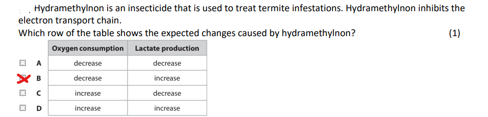 <p>because:</p><p>ETC inhibited, therefore less H+ pumped and thus less ATP produced<br>also less o2 accepts e- [<strong><u>Oxygen is the final electron acceptor</u></strong>]</p><p>more anaerobic respiration(glycolysis and fermentation) occurs so more lactate is produced</p>