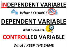 <p>A group of words with a subject and verb that is not a full sentence (dependent clause)</p>