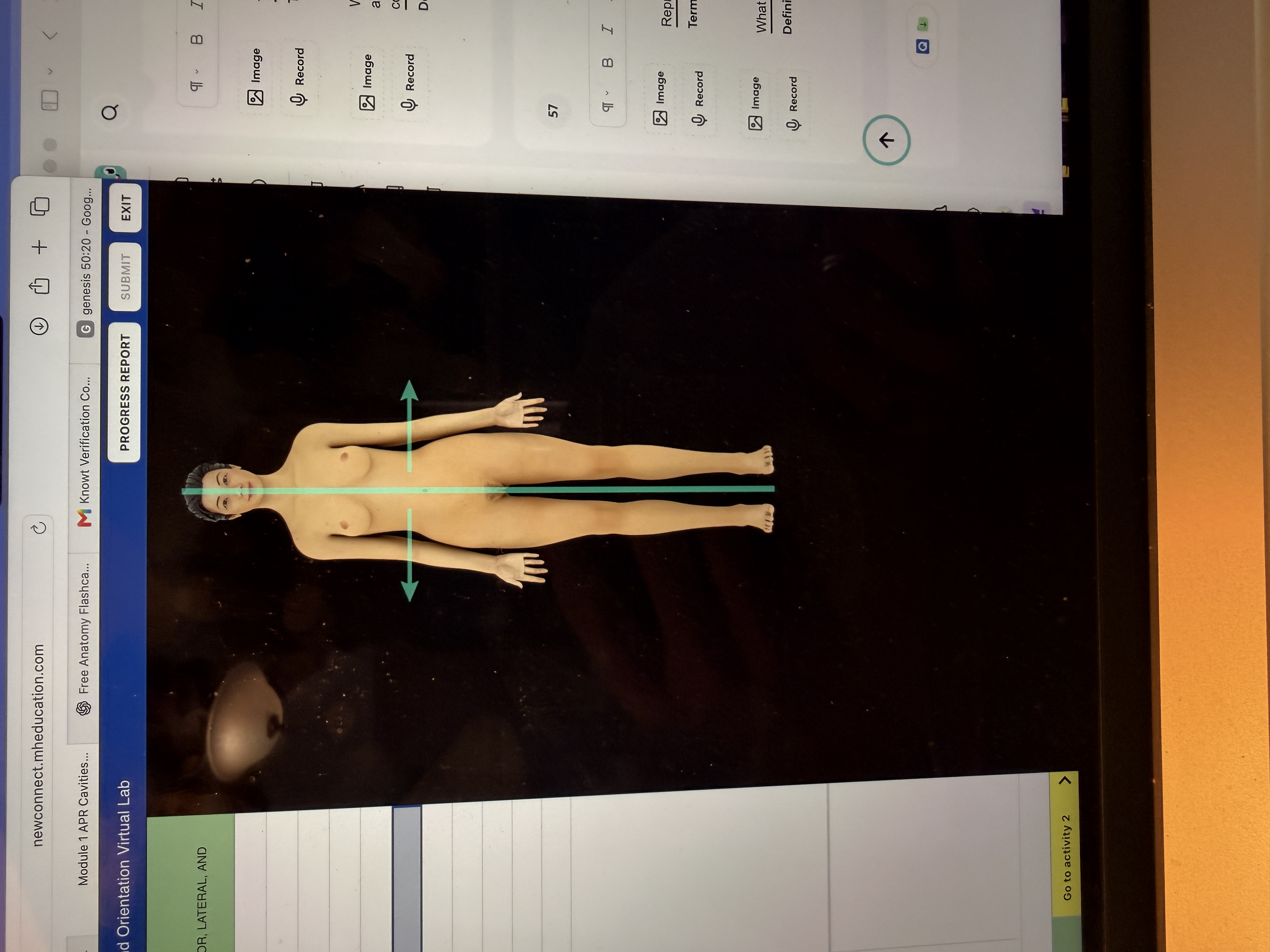 <p>What body orientation is this?</p>