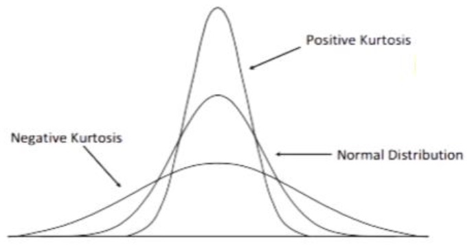 <p>kurtosis</p>