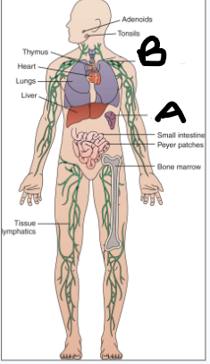 <p>what is A and B?</p>