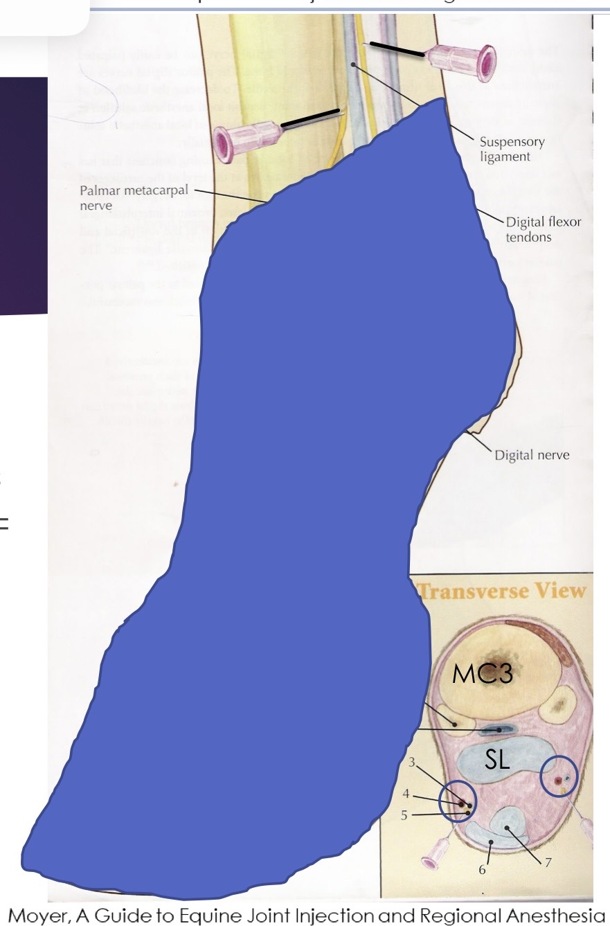 <p>what block is this?</p>