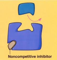 <p>A molecule that binds to a different site (allosteric site) on the enzyme, causing the tertiary structure of the enzyme to change</p>