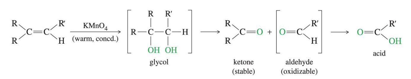 <p>Uses KMnO4 and warm acidic, disubstituted carbons become ketones and Monosubstituted carbons become carboxylic acids</p>