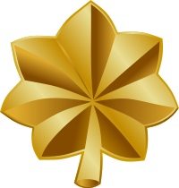 <p>Major</p>