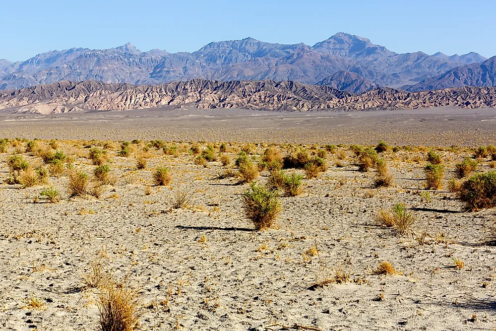 <p>arid</p>