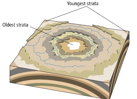 <p>Name this feature</p>