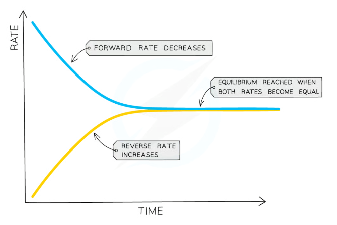 <p>When the rate of the forward reaction equals the rate of the reverse reaction</p>