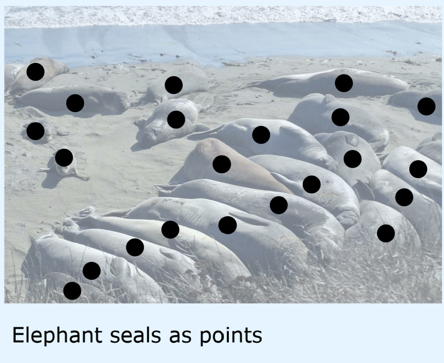 <p>Dimensionality of point data features</p>