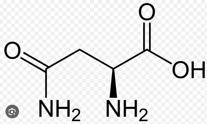 <p>name this amino acid</p>