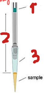 <p><strong><mark data-color="#67232d" style="background-color: rgb(103, 35, 45); color: inherit;">WHAT PART OF AUTOMATIC PIPETTE?</mark></strong></p><ul><li><p>What is <span style="color: yellow;"><strong><u>no. 2</u></strong></span> ?</p></li></ul><p></p>