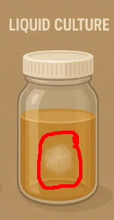 <p>A liquid culture medium. Available as a test tube. Check for cloudiness (turbidity).</p>